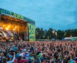 Firefly Music Festival Announces NFT collection