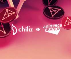 Chiliz Chain Animoca Brands
