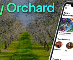 Nifty Orchard – The Perfect Companion App for NFT Aficionados!