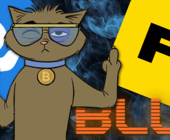 OpenSea, Blur and Rarible Halt Stoner Cats Trading, But the NFTs Live On