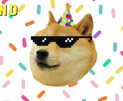 upland international doge day