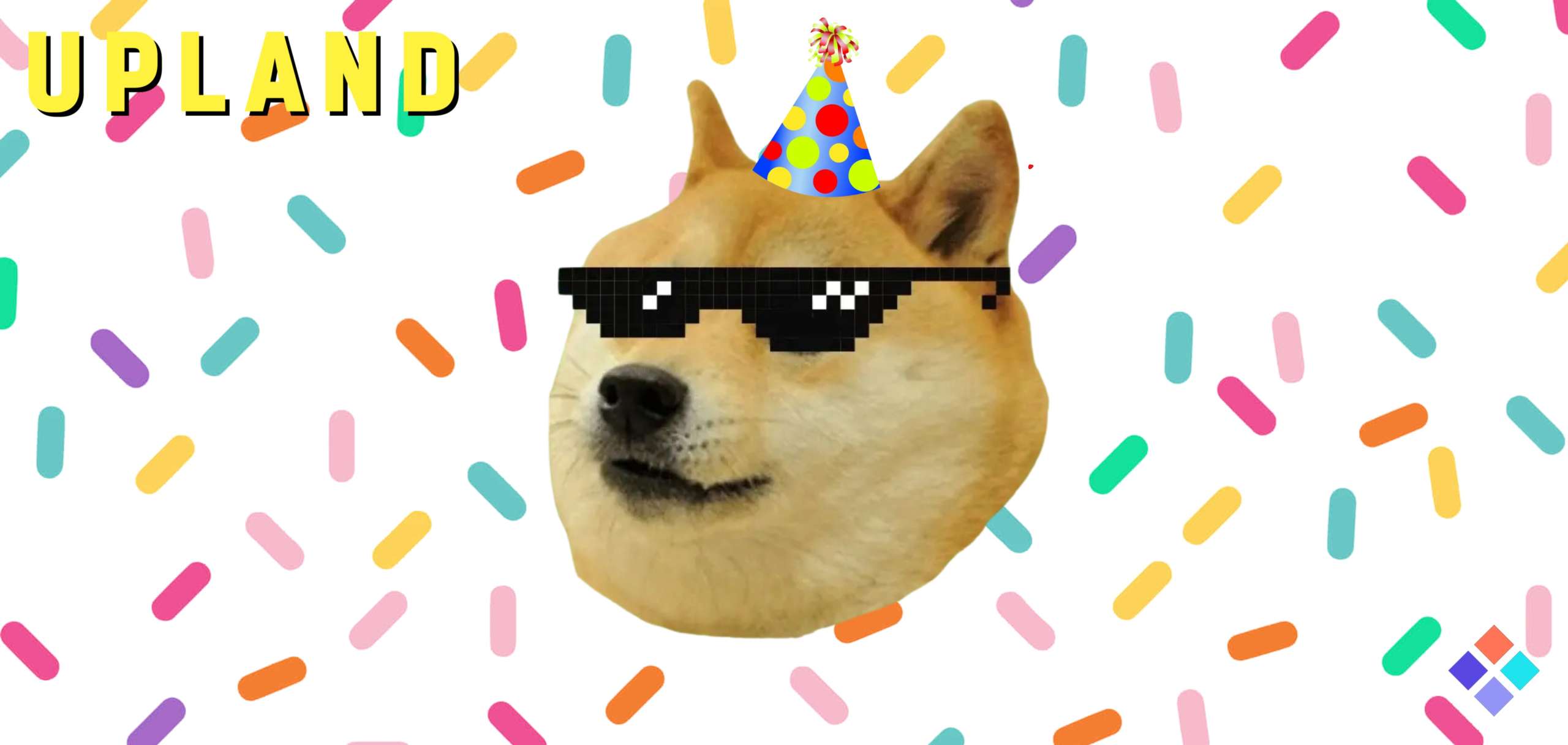 upland international doge day