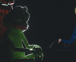 DMCA Takedown Casts a Shadow over Notable Pepes NFT Collection