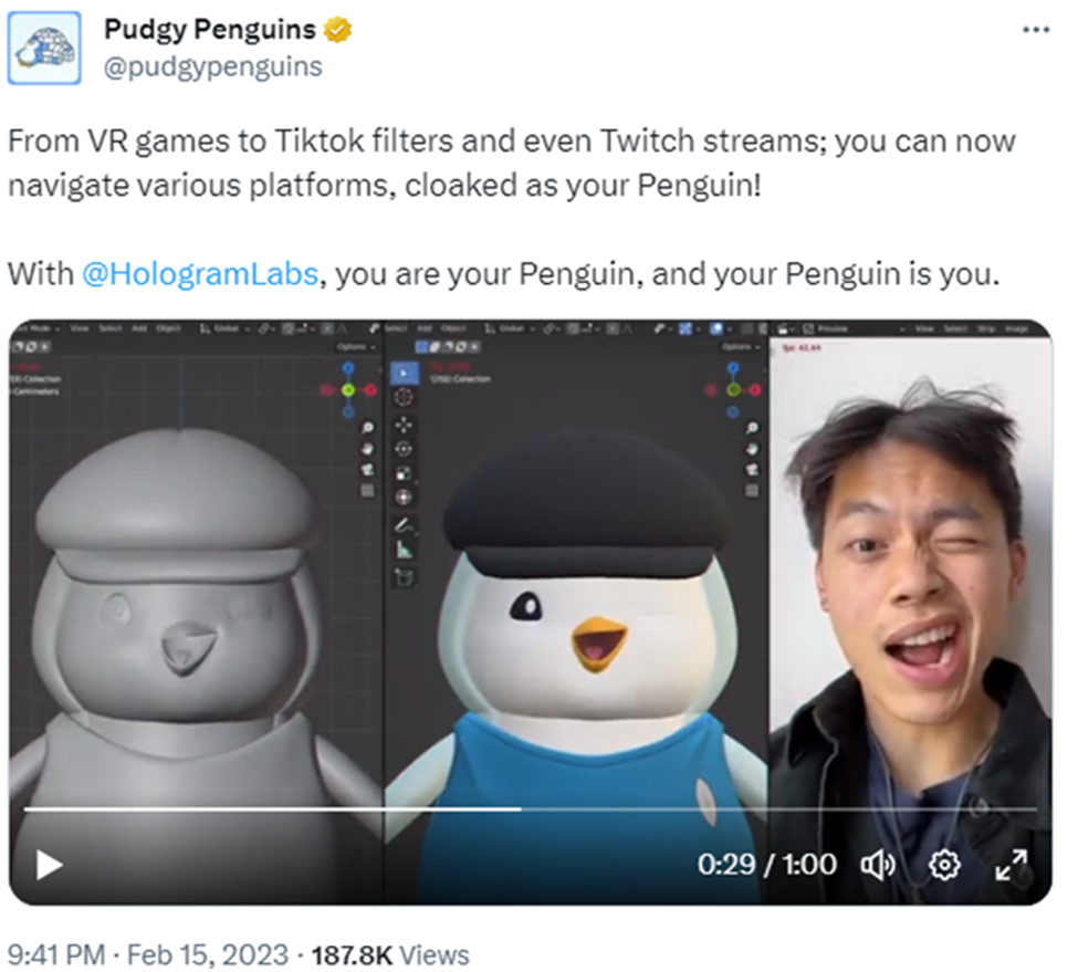 How Pudgy Penguins NFTs Defied the Bear Market to Flourish